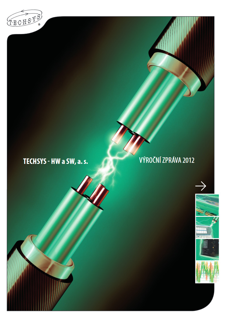 Výroční zpráva společnosti za rok 2012